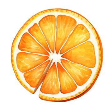 Orange Slice Watercolor Illustration Orange Watercolor Slice PNG