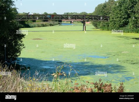 Slough Berkshire Uk 4th September 2023 It Was A Very Hot Day In