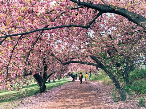 york city spring  travel blog