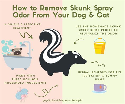 Did Your Dog or Cat Get Sprayed by a Skunk? Never Use Dawn Dish Soap, Use These Safe Natural ...