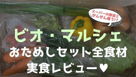 【ビオマルシェ】有機野菜お試しセットを本音口コミ！ブログ体験談｜おすすめの食材宅配サービスとお取り寄せ通販レポ｜いえdeli