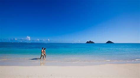 Kailua Beach in Honolulu, Hawaii | Expedia