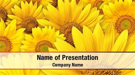 Sunflower Powerpoint Template 50 Koleksi Gambar