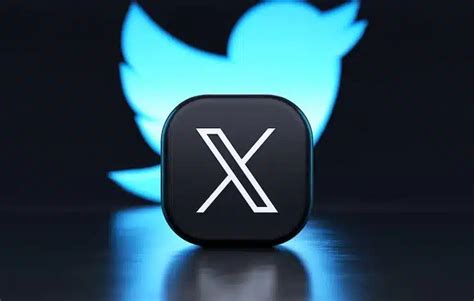 6 Ways To Protect Your Privacy On X Twitter IPhone Android NGNews247