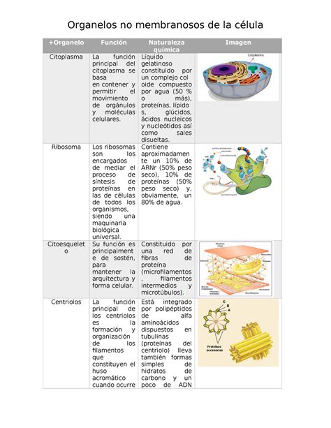 Organelos Membranosos