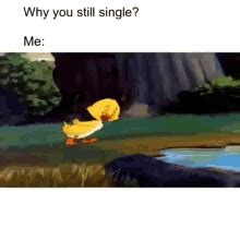 Nobody Loves Me Single Life GIF – Nobody Loves Me Single Life Duck ...