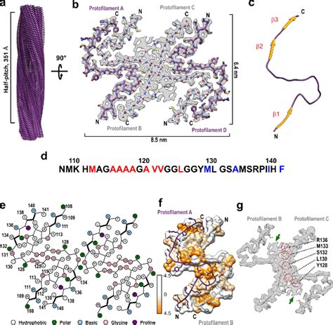 Cryo Em Structure Of Huprp Amyloid Fibrils A Cryo Em Density Map