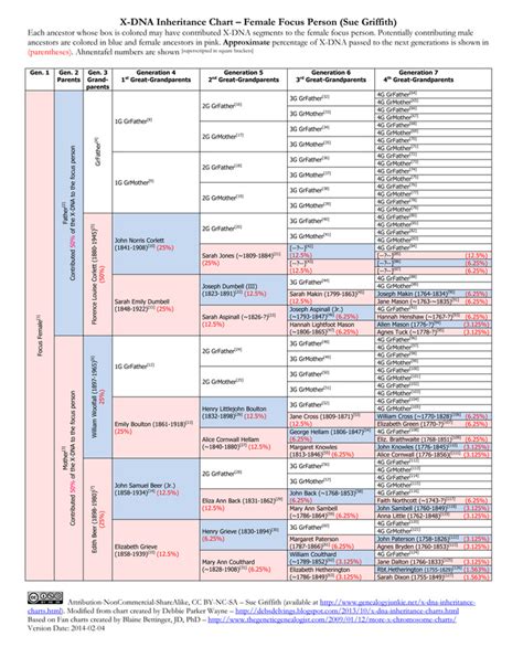 X-DNA Inheritance Charts - Genealogy Junkie