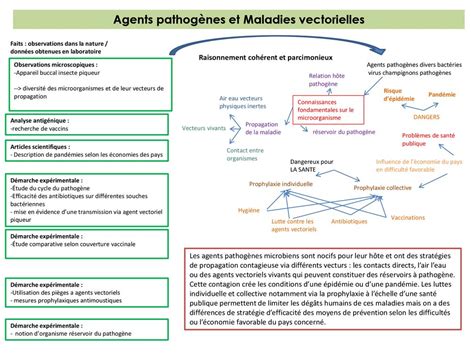 Niveau Seconde Partie du programme Corps humain et santé