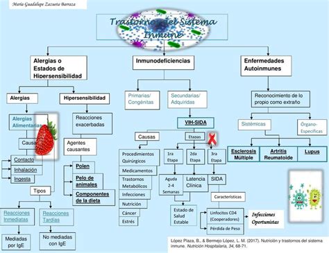 Trastornos Del Sistema Inmune M Udocz