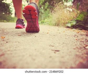 Athletic Pair Legs Running Jogging On Stock Photo 214869202 Shutterstock