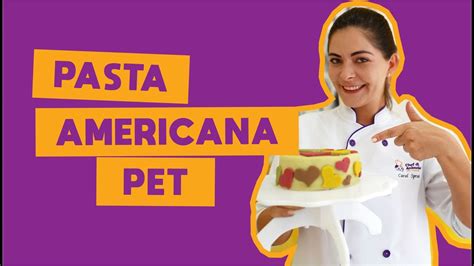 Receita Pet Pasta Americana Pet Pasta Americana Para C Es Pasta