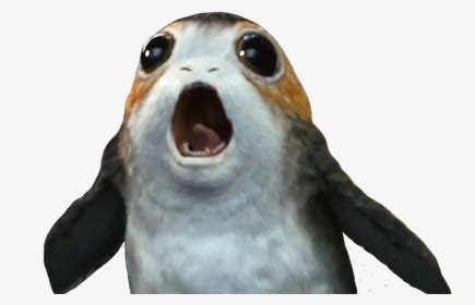 Congratulations! The PNG Image Has Been Downloaded (Porgs Were A Type ...