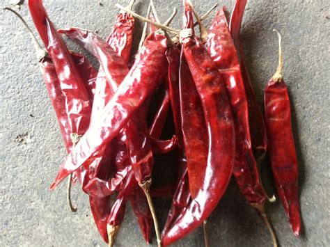 Wonder Hot Chilli At Rs Kg Ambattur Chennai ID