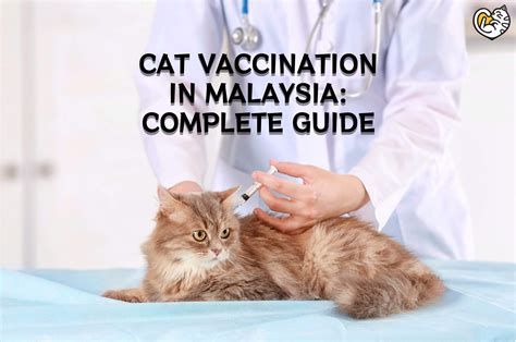 Cat Vaccination Schedule Brilliant Cat Vaccination Schedule Book