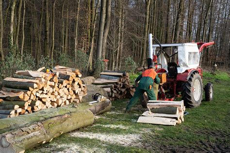 Brennholz zum selber verarbeiten von Anbietern aus Deiner Nähe