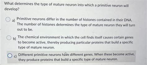 Solved What Determines The Type Of Mature Neuron Into Which Chegg