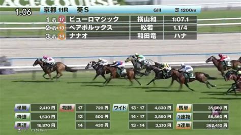 【525 葵sほか】京都ダイジェストjraレース結果 競馬予想動画 Netkeiba