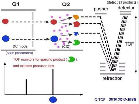 干货 一文了解代谢组学中常见质谱仪 知乎