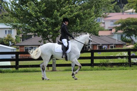 lepaule en dedans petit galop