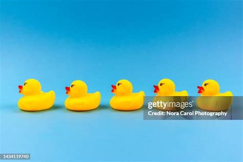 Rubber Duck Background Photos And Premium High Res Pictures Getty Images