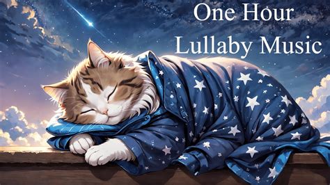 Lullabies To Guide Babies Into Sleep Hour Cute Cat Sleeping Youtube