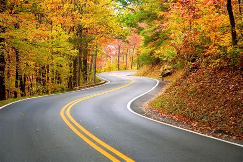 Is Your Life S Journey A Winding Road This Will Help Find Your Purpose