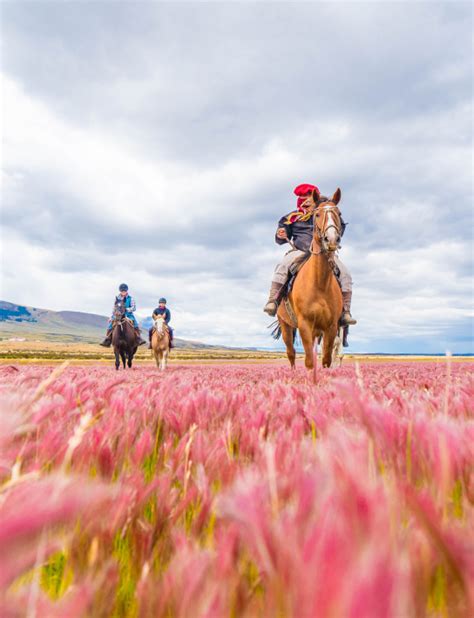 Excursiones Estancia Cerro Guido