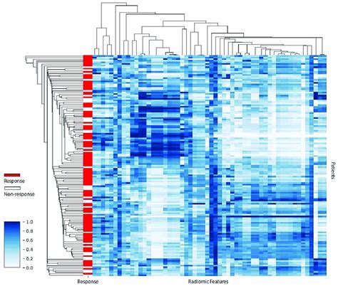 Heatmap Revealing Radiomic Feature Clusters With Similar Expression Download Scientific Diagram