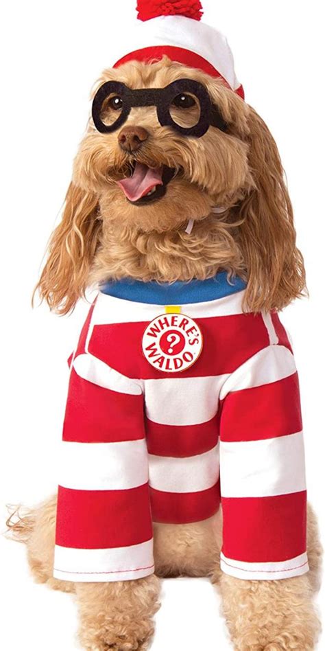 25 Best Pet Costumes For Dogs And Cats In 2022 Hgtv