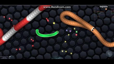 Slither Io Gameplay