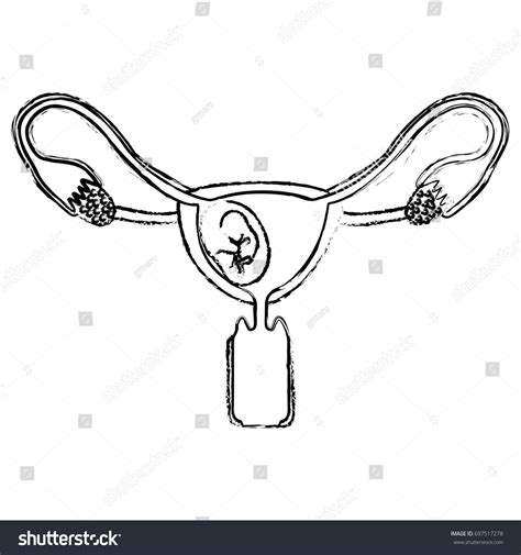 Monochrome Blurred Silhouette Female Reproductive System เวกเตอร์สต็อก