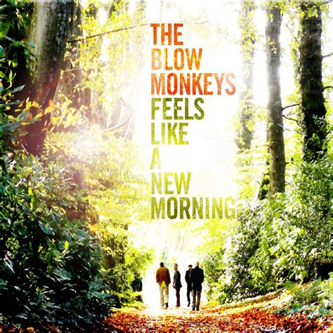 Car Tula Frontal De The Blow Monkeys Feels Like A New Morning Portada