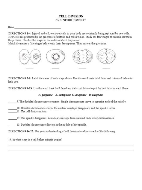 Cell Reproduction Worksheet Tutorial Worksheets Library