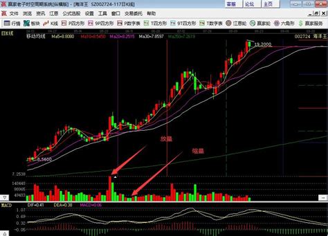 股票中的放量阳线是哪条股票的放量和缩量怎么看 股市聚焦 赢家财富网