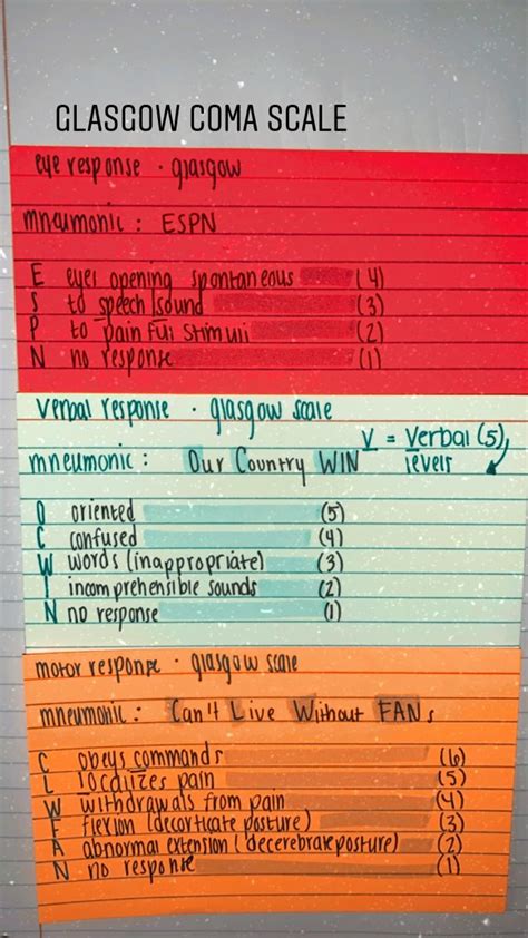 Neuro Brain Injury Coma Scale PTA Study Glasgow Coma Scale Brain