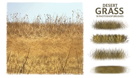 Artstation Dynamic Desert Grass Brushes Ms Brushes Brushes