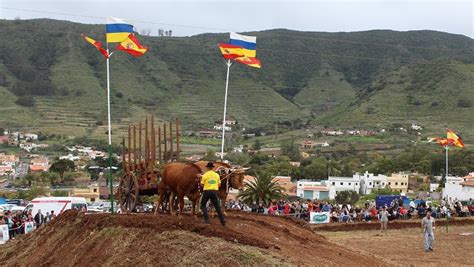 Romer A De Tegueste Guillermo Gonz Lez Gana El Vii Concurso De Manejo