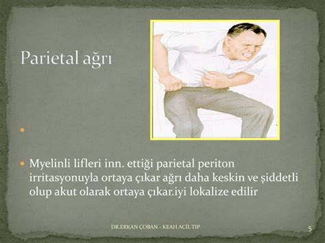 Akut Abdominal A R Fazlas I In Tipfakultesi Org Ppt