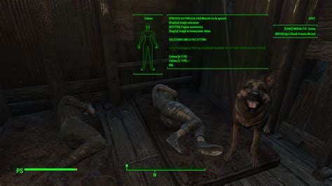 Really A Beginner A Help Fallout 4 Technical Support Loverslab