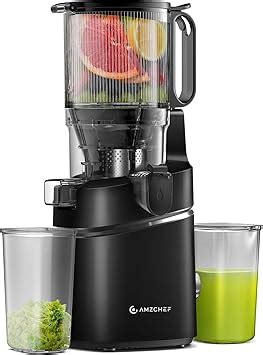 Amazon Amzchef Cold Press Juicer Self Feeding Juicer