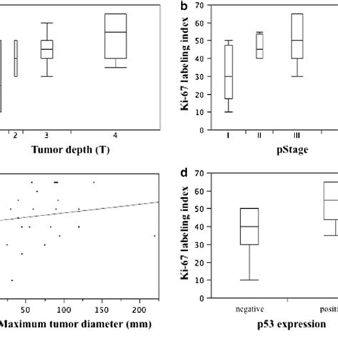 Correlation Of Ki 67 Labeling Index With A Tumor Depth B Pathological Download Scientific