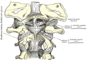 Transverse Ligament of the Atlas - Physiopedia