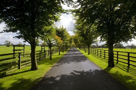 Ireland Discovery Tours Irish National Stud And Japanese Gardens Tour