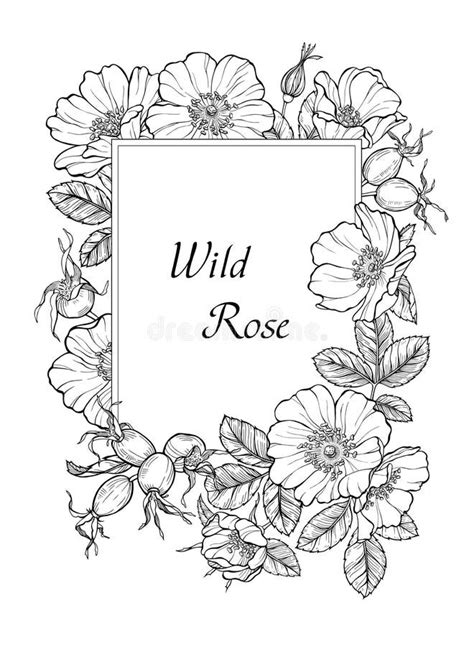 Floral Rectangular Frame Stock Vector Illustration Of Black