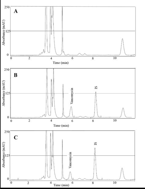 Representative Chromatograms Of A Blank Plasma B Vancomycin