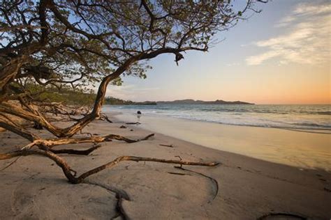 Playa Flamingo, Guanacaste - Costa Rica 2024 Travel Guide | Anywhere