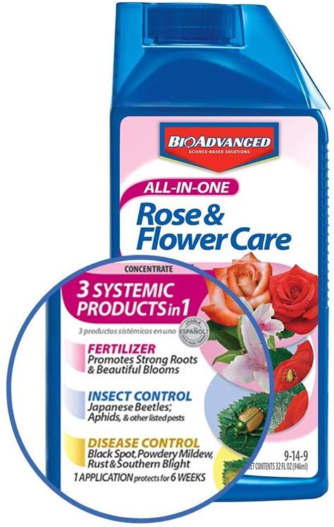 What Are The Best Fertilizers For Knockout Roses In 2023