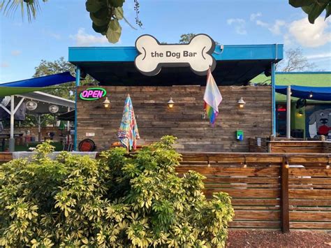 A Tale Of Two Pup Pubs Tampa Bays Leading Dog Bars The Dog Bar