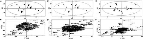 PLS DA Scores Plot Of The First And Second LVs Based On CPMG 1 H NMR Of